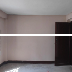 4BK Flat for rent in Kuleshwar Kathmandu